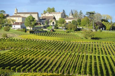 Tour privato di mezza giornata del vino di Saint Emilion da Bordeaux